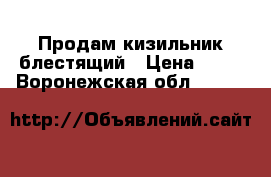 Продам кизильник блестящий › Цена ­ 40 - Воронежская обл.  »    